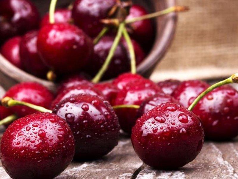 Вишня купить саженцы из питомника в Можге